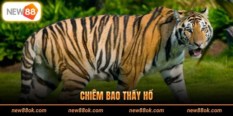 Chiêm Bao Thấy Hổ - Dự Báo Vận Mệnh Và Nội Tâm Người Mơ